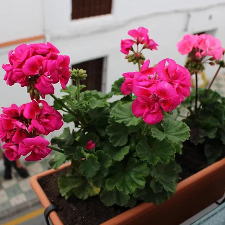 Gemuetliche Im Herzen Von * Nerja